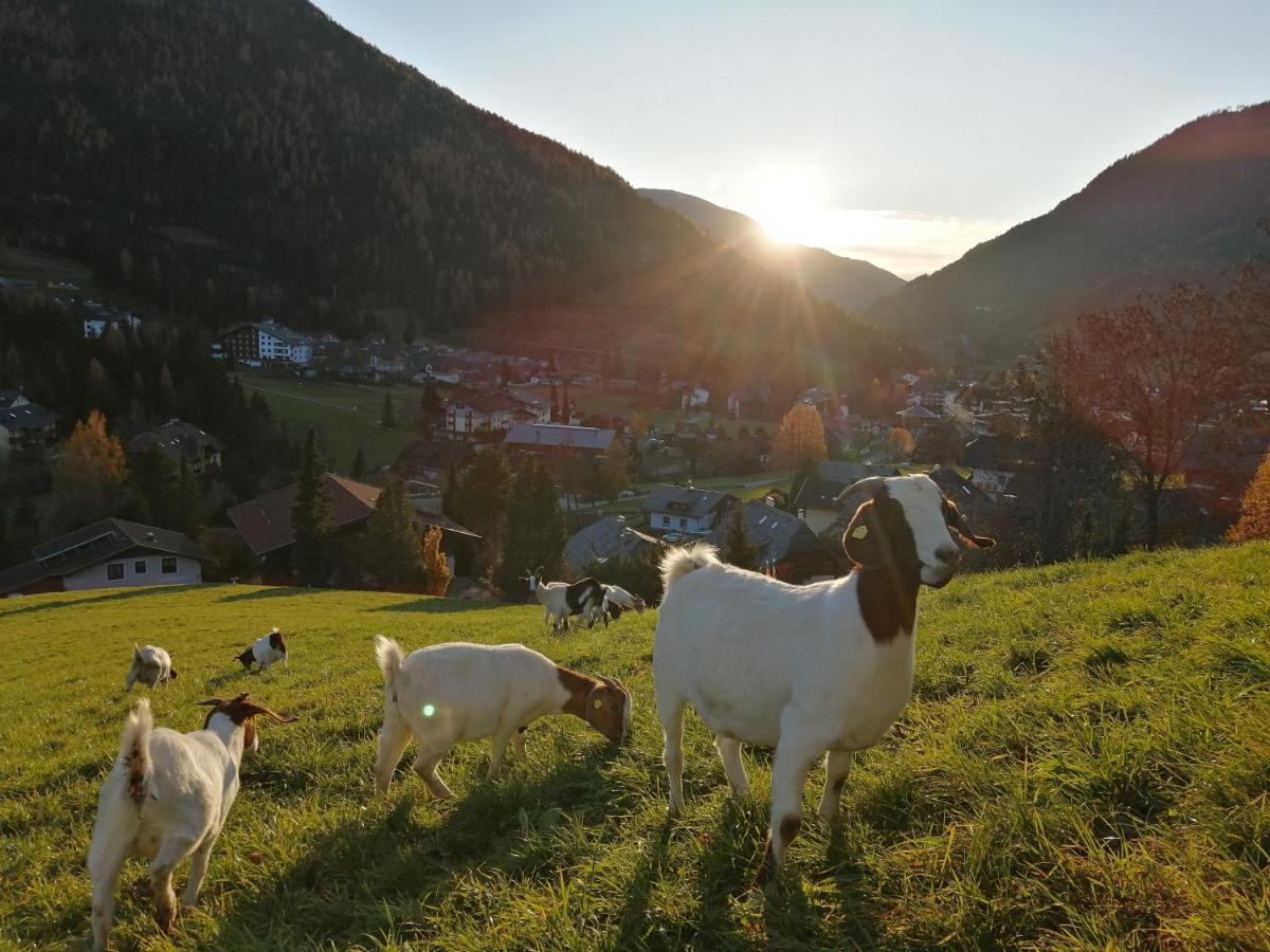 Gutzingerhof Farm stay Bad Kleinkirchheim